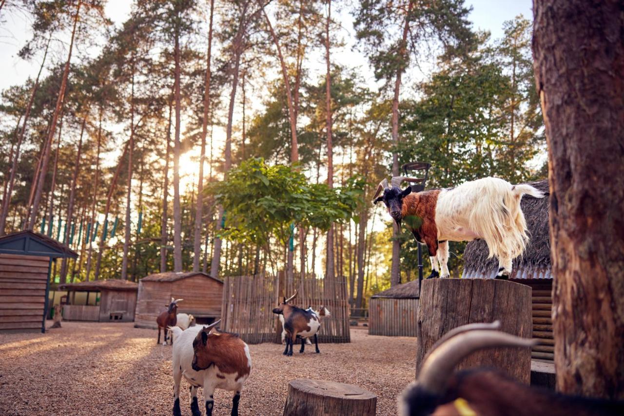 Center Parcs Les Hauts De Bruyeres Chaumont-sur-Tharonne Exterior foto